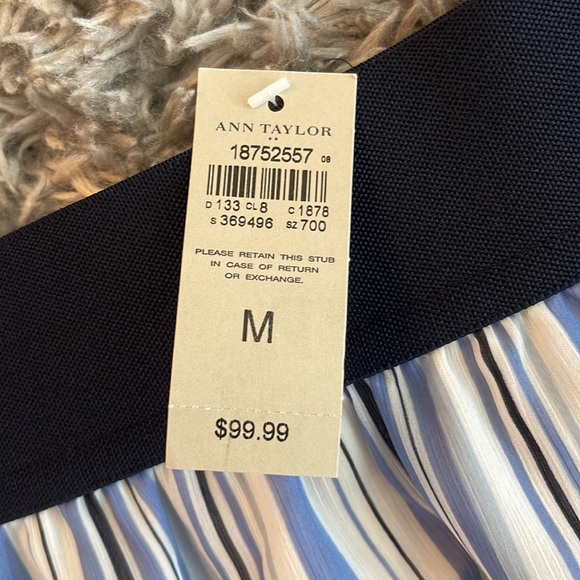 Ann Taylor Blue & White Striped Elastic Waist Maxi Skirt - Picture 6 of 6